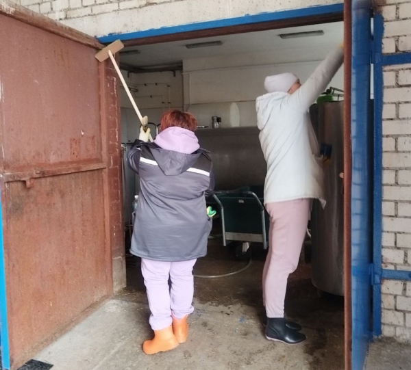 ФОТОФАКТ: коллектив Копыльского райагросервиса трудится на животноводческих объектах СХФ "Рудное"