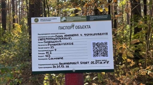 Заказать дрова и узнать о рубках: Минлесхоз внедряет единые информационные знаки