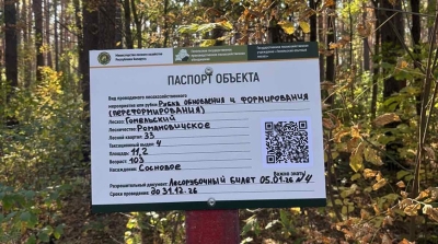 Нажмите для предварительного просмотра изображения
