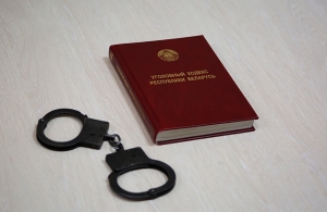 Супруги-минчане приговорены к длительным срокам за сбыт психотропов