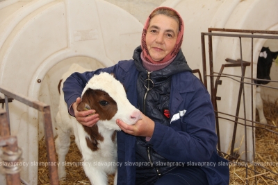 ОАО «Старица-Агро»: почему хозяйство называют легендарным?