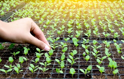 Нажмите для предварительного просмотра изображения