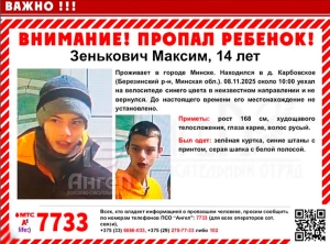 Следственные версии: что проверяет милиция в деле мальчика, пропавшего под Березино ?