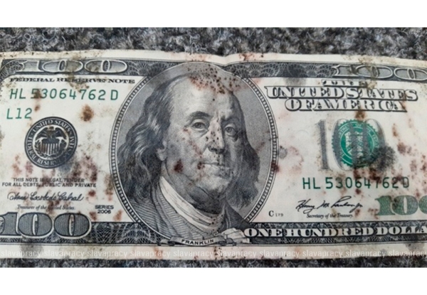 Банки Беларуси впервые начали принимать деньги... с плесенью? Рассказываем