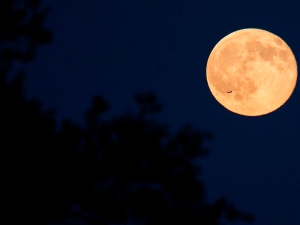 Астрономический январь 2026: суперлуние и метеоры