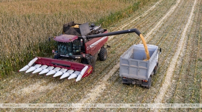 Нажмите для предварительного просмотра изображения