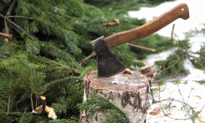 Нажмите для предварительного просмотра изображения