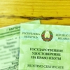 Как белорусу получить удостоверение на право охоты: цены, сроки и правила