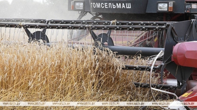 Нажмите для предварительного просмотра изображения