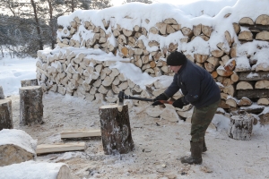 Как заготовить дрова самостоятельно? Рассказываем