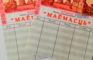 Как использовать приватизационные чеки «Имущество»?
