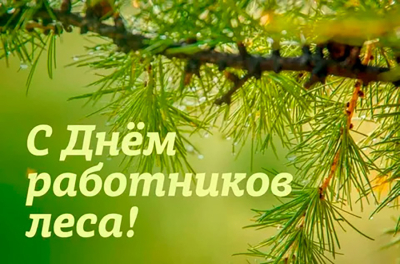 Поздравление от руководства района с Днем работников леса
