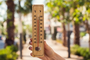 Жара до +38°C и красный уровень: МЧС предупредило о главных рисках 5 августа