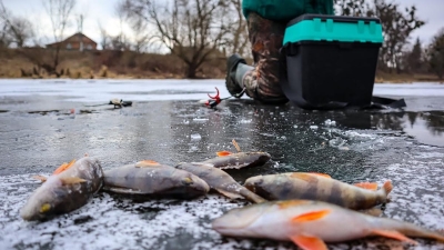 Нажмите для предварительного просмотра изображения