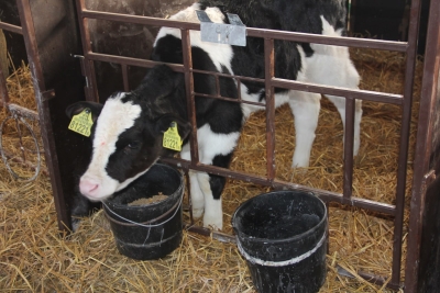 Нажмите для предварительного просмотра изображения