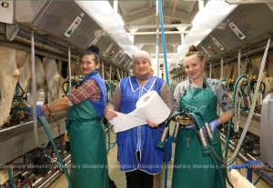 «Диктатура технологий»: как ОАО «Копыльское» стало одним из ведущих предприятий района?