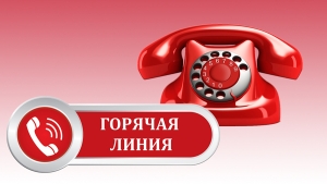 1 октября начальником отдела статистики Копыльского района будет проводиться горячая линия