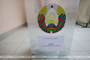 За два дня досрочного голосования на выборах Президента Беларуси явка граждан составила 17,67%