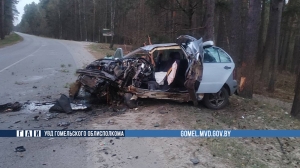 Уснул за рулем и врезался в дерево