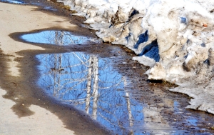 Талая вода – друг или враг? Ответ от главного санврача Копыльщины