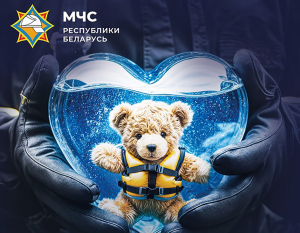 МЧС напоминает: у стихии нет сердца