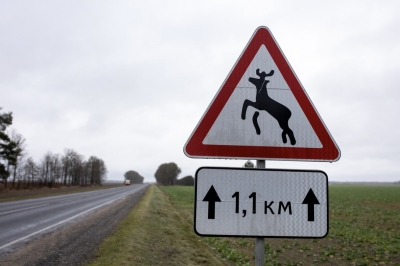 Нажмите для предварительного просмотра изображения