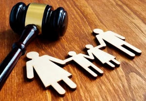 Как взыскать долг по алиментам – советы председателя суда Копыльского района