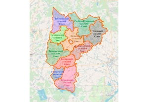 Книжная реанимация: зачем школьники Грозово массово спасали литературу?