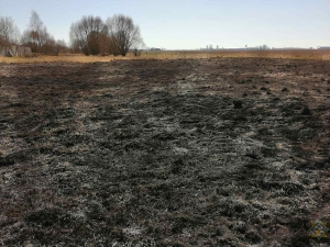 В Червенском районе во время полевых работ загорелся трактор