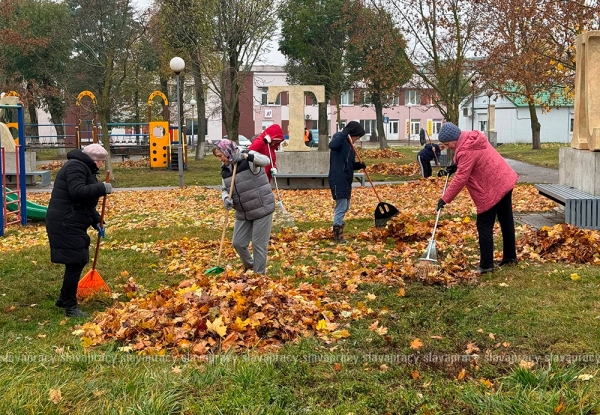 Коллектив Копыльского райисполкома навел порядок на Аллее писателей