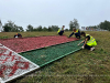 Лето с пользой: в Копыле стартовал экологический студотряд