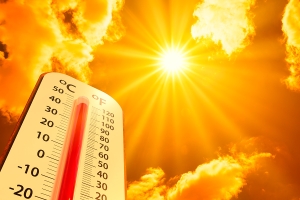 Осторожно, жара! Столбики термометров поднимутся до +31°С