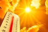 Осторожно, жара! Столбики термометров поднимутся до +31°С
