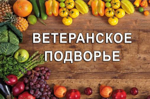 Лучшие ветеранские подворья Копыльщины определит конкурс