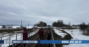 В Копыльском районе поезд сбил 79-летнего мужчину