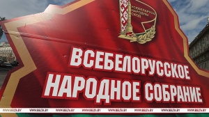 Пессимисты, недруги и &quot;хата с краю&quot;: ответ критикам, сомневающимся в силе ВНС