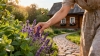 Растения против комаров: 10 зеленых защитников, которые сделают отдых на даче комфортным