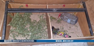 На Минщине задержан «наркоагроном»