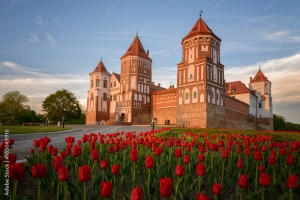 Беларусь опередила Польшу и Литву в глобальном рейтинге интеллекта