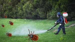 Копыльский РайЦГиЭ предупредил о временном запрете на прогулки в зоне отдыха