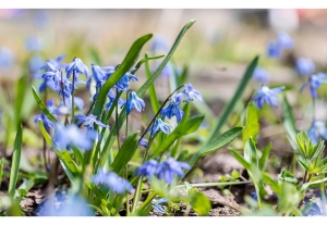 Снова снег? Синоптики рассказали о погоде в Беларуси на ближайшую неделю