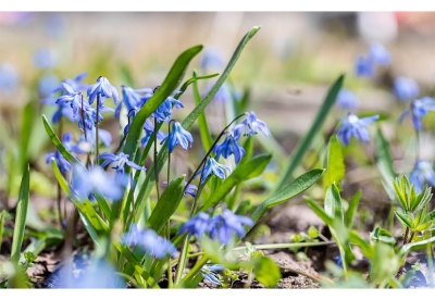 Нажмите для предварительного просмотра изображения