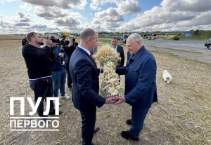 Минщина снова первая – Кушнаренко вручил 2-миллионный сноп Александру Лукашенко