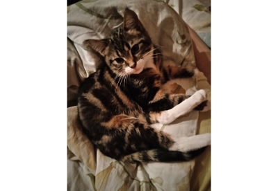 Нажмите для предварительного просмотра изображения