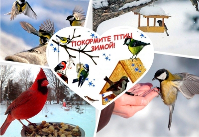 Нажмите для предварительного просмотра изображения