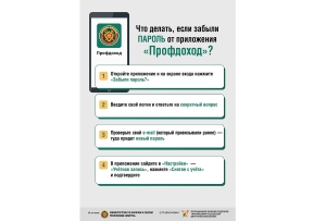 Что делать, если забыли пароль от приложения "Профдоход"?