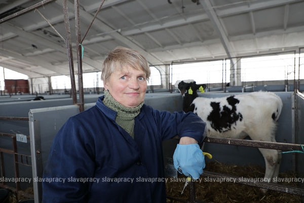 Животноводческая отрасль стала гордостью: каких успехов достигли в ОАО «Семежево»?