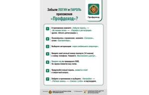 Что делать, если забыли логин и пароль приложения "Профдоход"?