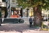 Рекордный конкурс в БГУ: проходной порог вырос на 30 баллов и выше